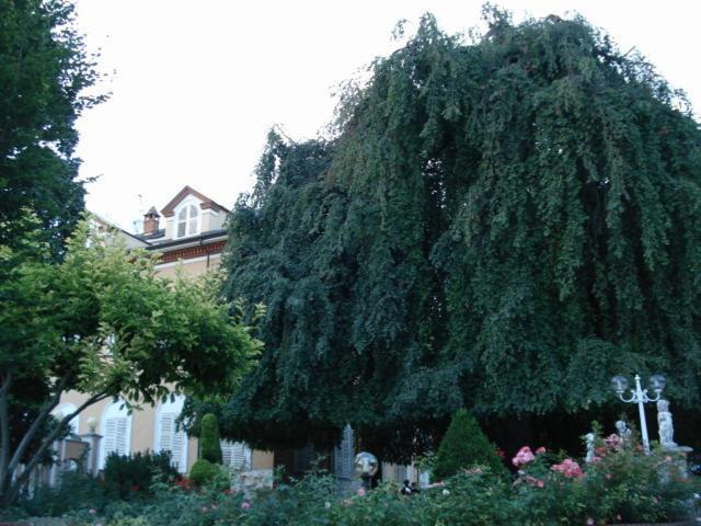 Park Hotel Villa Salzea 트로페엘로 외부 사진